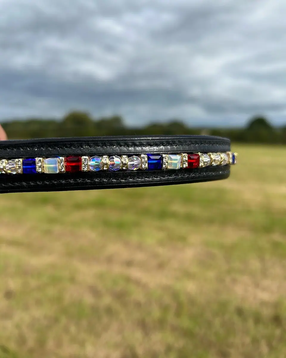 A crystal browband against a green field