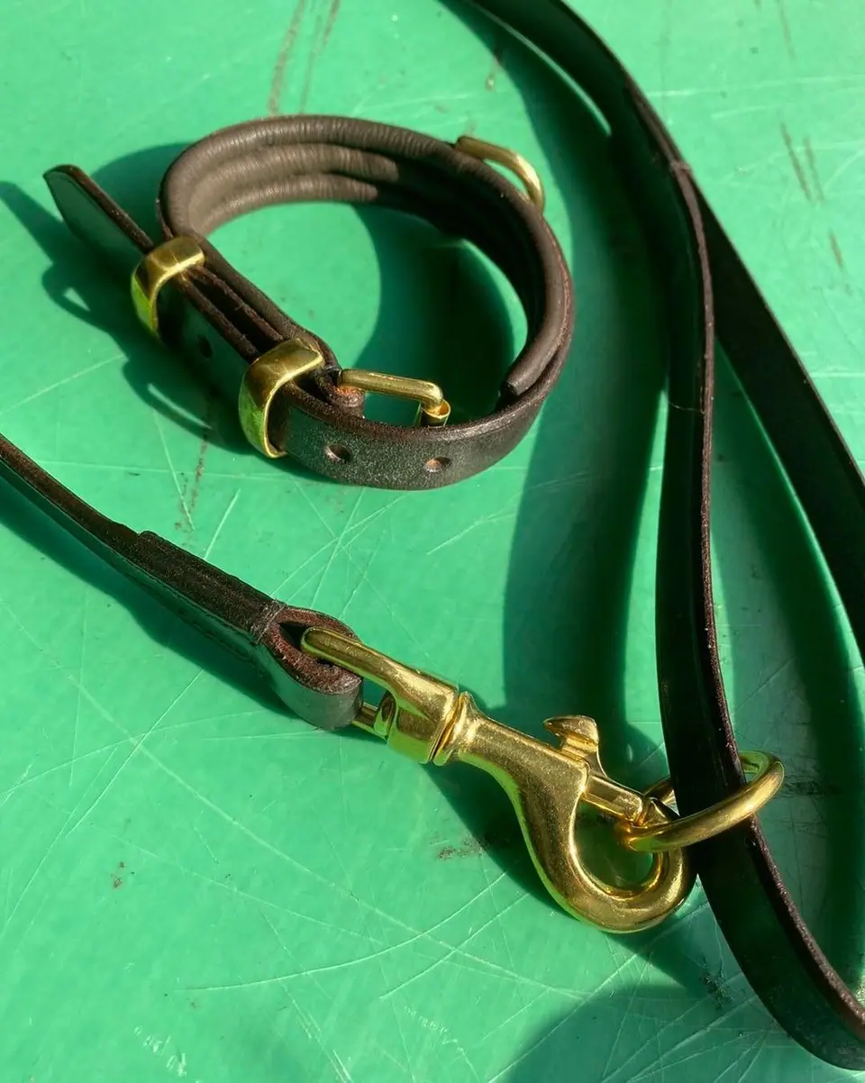 A matching hand-stitched collar and lead
