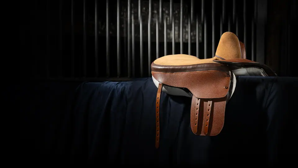Kate's National Saddlery Competition winning side saddle on a black background